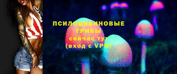 дмт Балахна