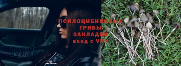 стаф Балабаново