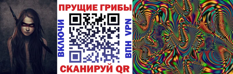 купить закладку  MEGA tor  Галлюциногенные грибы GOLDEN TEACHER  Голицыно 